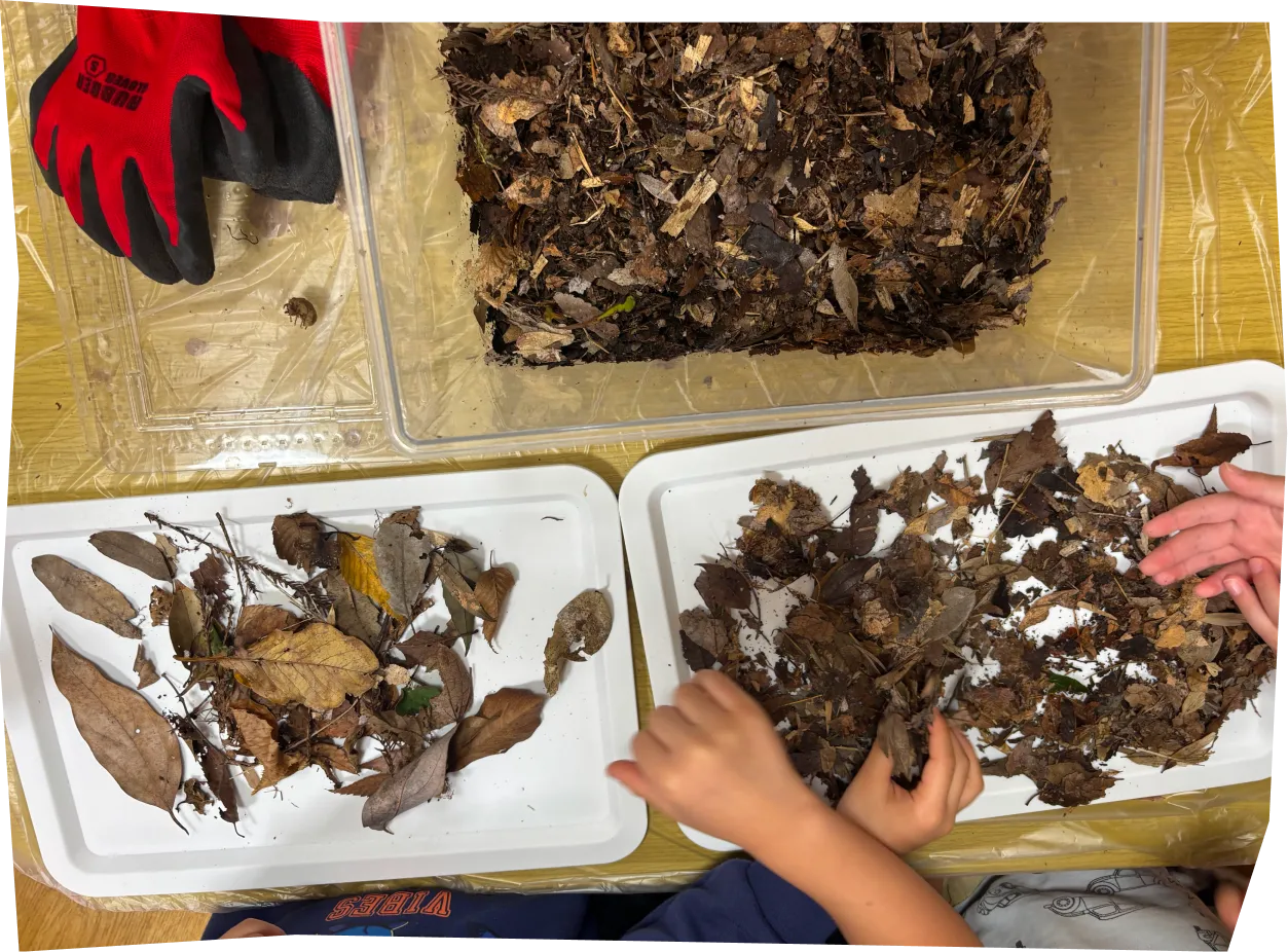 園児たちが葉っぱを触っている画像